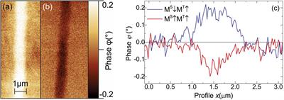 Defect-induced magnetism in TiO2: An example of quasi 2D magnetic order with perpendicular anisotropy